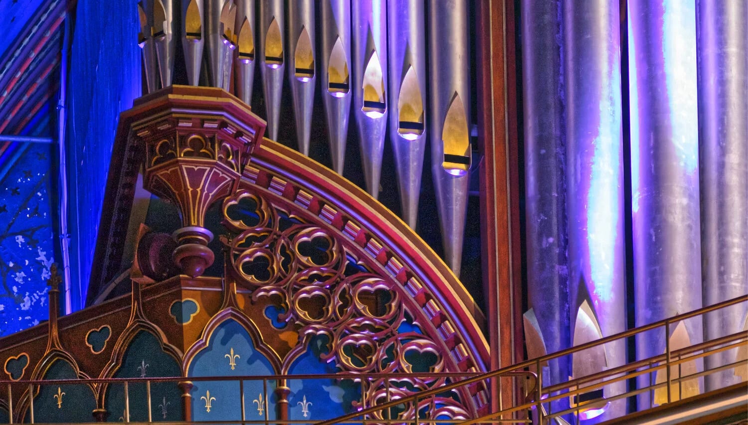 organ (1).jpeg